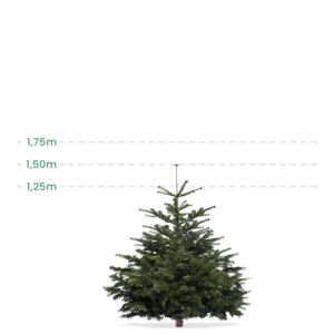 Mini juletræ 1,00-1,25 Meter