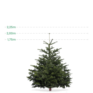 Mellem juletræ 1,75-2 Meter