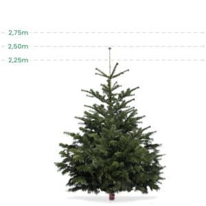 Større juletræ 2,25-2,5 Meter